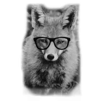 Fuchs mit Nerd-Brille